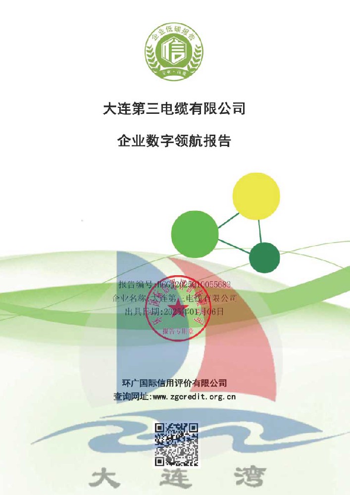 企業(yè)數(shù)字領(lǐng)航報(bào)告