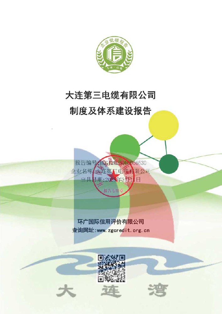 制度及體系建設(shè)報(bào)告